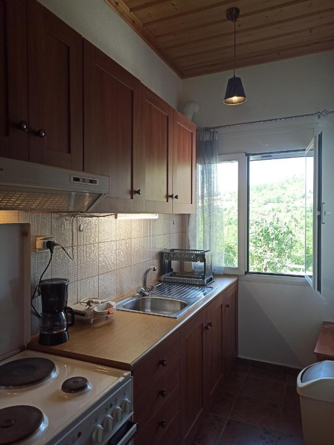 Elli΄S House Συγχρονο Σπιτι Στα Πραμαντα Villa Prámanda Kültér fotó